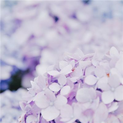 超次女神内购破解版下载